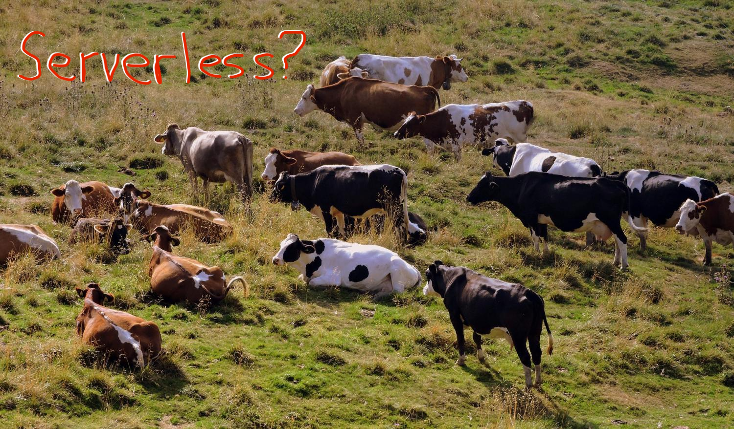 serverless cattle herd